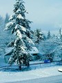DSCN8446v.jpg