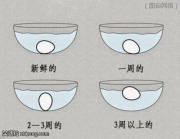 75576f6f.jpg