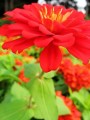 8f81637cc800.jpg