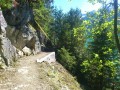 DSC_0060.JPG