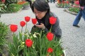 img0213vm.jpg