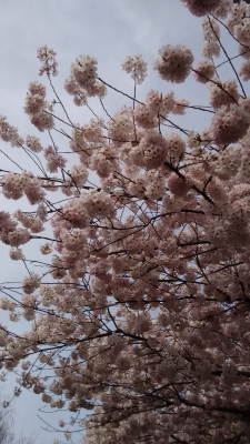һ¹ۿͼƬ
 ============== 
