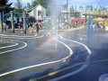 p10.jpg