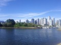 p6.jpg