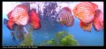 Ƭ 023.jpg
