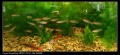 Ƭ 025.jpg