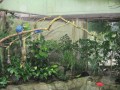 Ƭ 053.jpg