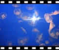 Ƭ 055.jpg