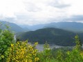 IMG_0161.jpg