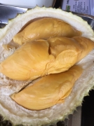 ȱʡ