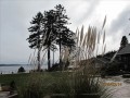 0e2f95b0889f.JPG