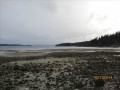 84012d09cbb0.JPG