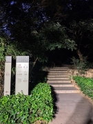 ς
