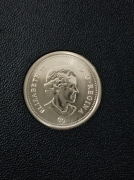 54645237.jpg