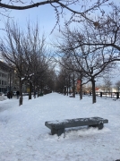 462b38643.jpg