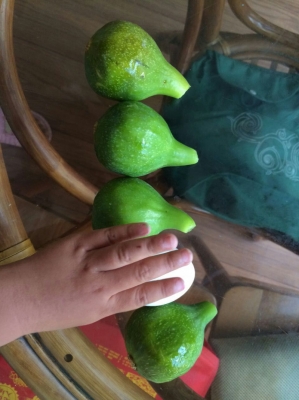 һ¹ۿͼƬ
 ============== 
