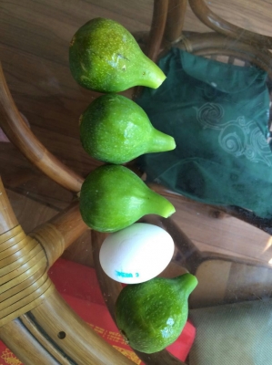 һ¹ۿͼƬ
 ============== 
