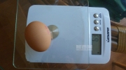 332f3261.jpg