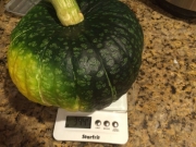 61537038.jpg