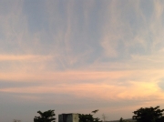 69696b39.jpg