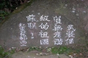 357a6176.jpg