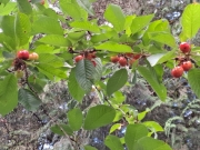 396a3247.jpg