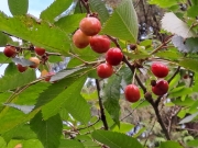 6b495238.jpg