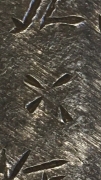 ϴ