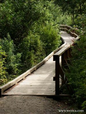 ��һ�¹ۿ�����ͼƬ
 ============== 
����ͨ��
8����
�ؼ���: ��  8��