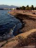Resize of Resize of kitsilano.jpg